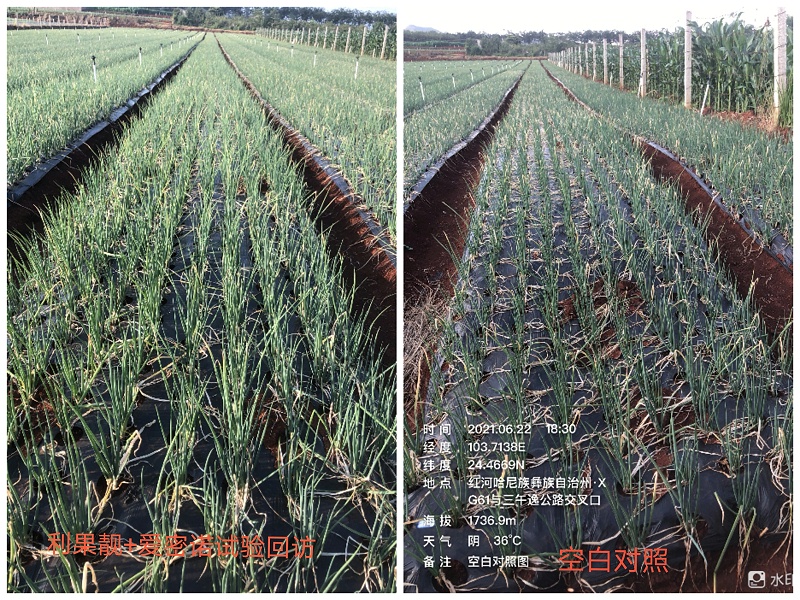 微信图片_20210714113606 微信图片_20210714113606