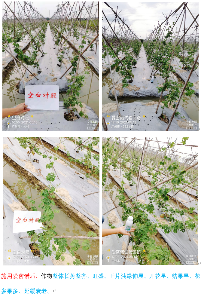 微信图片_20210714114141 微信图片_20210714114141
