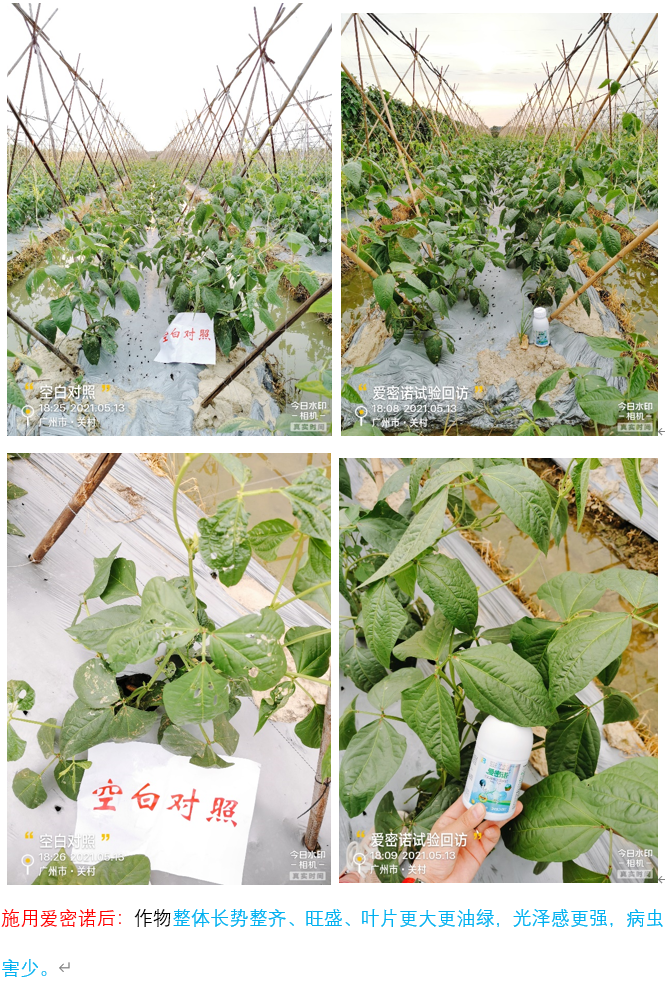 微信图片_202107141141411 微信图片_202107141141411