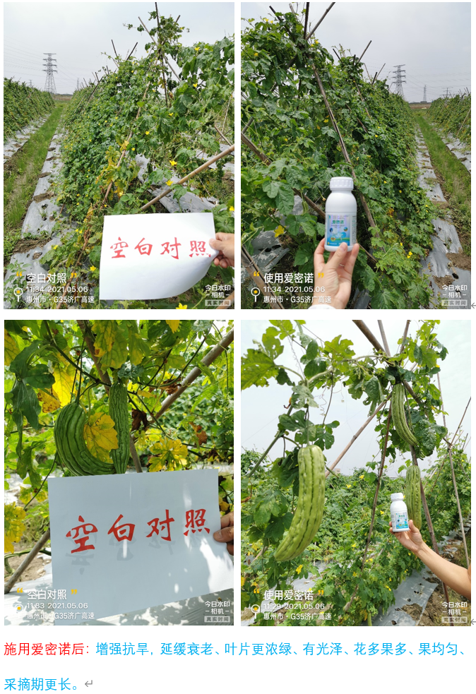 微信图片_202107141141412 微信图片_202107141141412