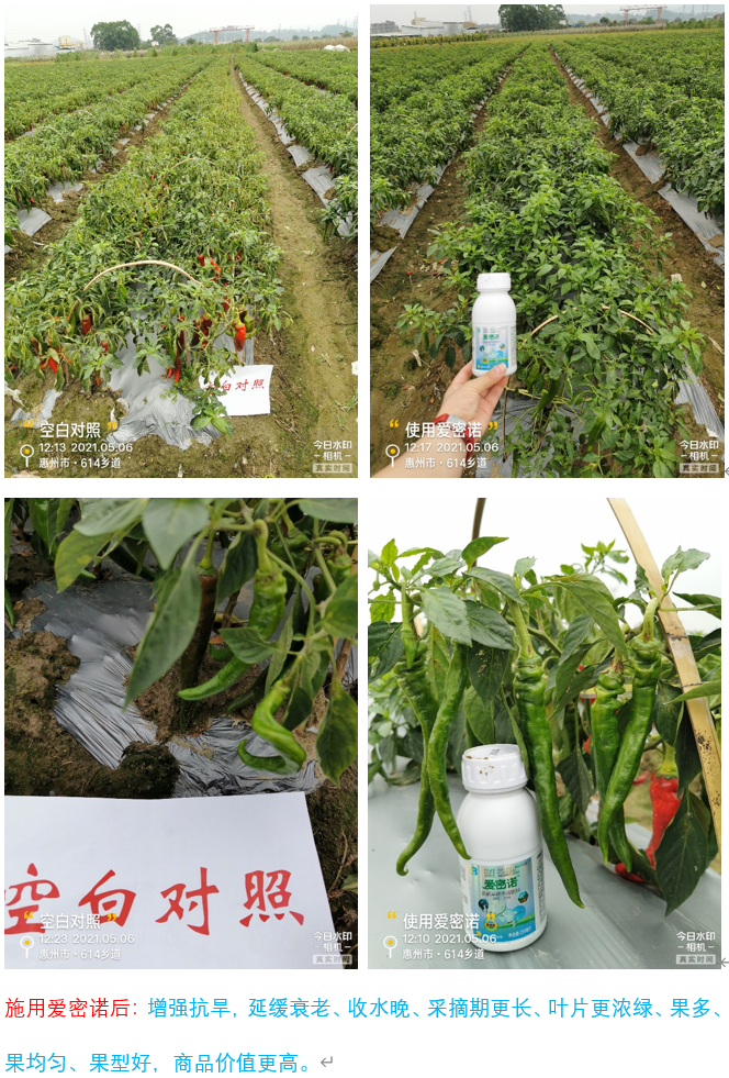 微信图片_202107141141413 微信图片_202107141141413