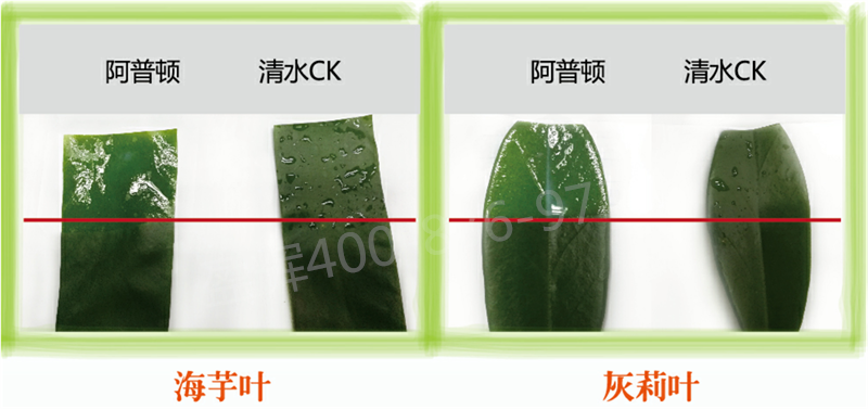 图片2_副本 图片2_副本