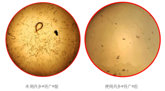 使用前后对比