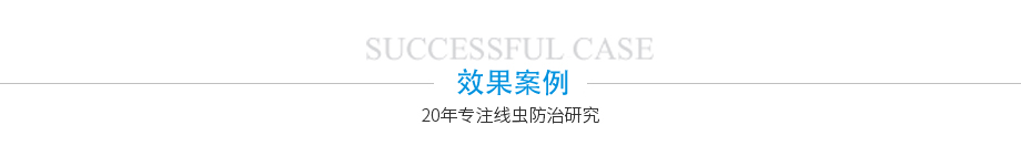 效果案例