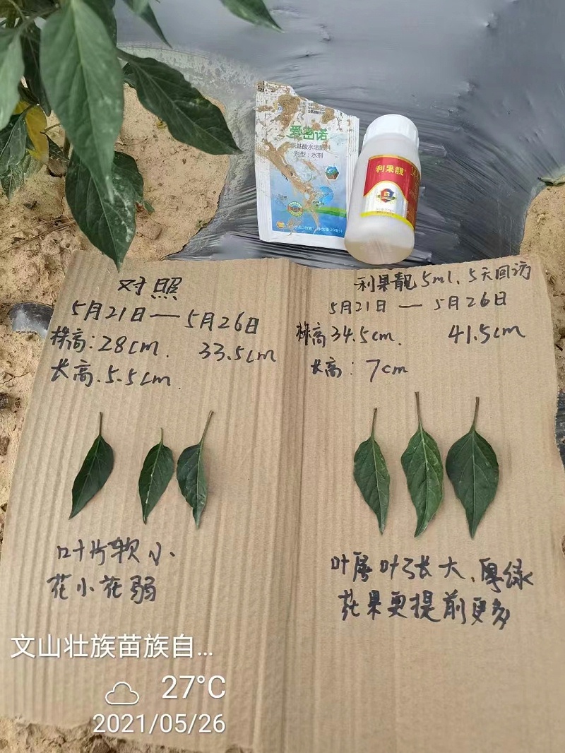微信图片_20210618150918