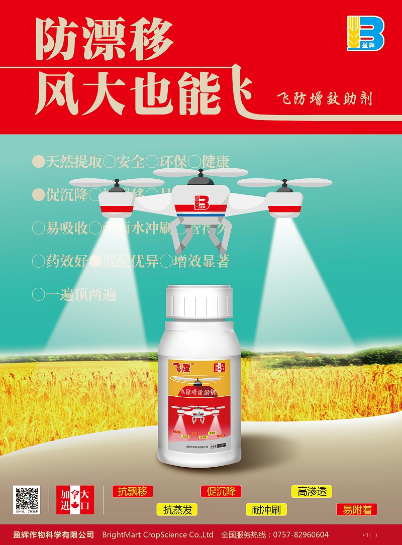 飞度-单张-v1-01