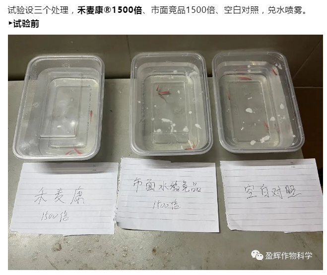 合麦康