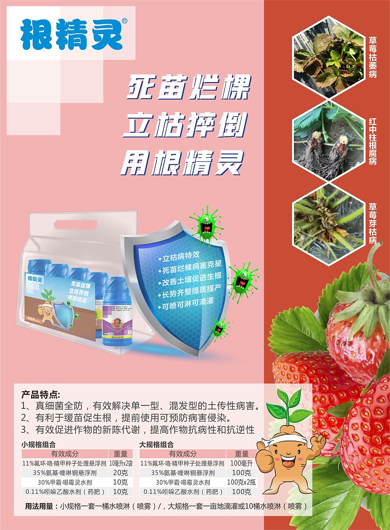 根精灵草莓海报(1)