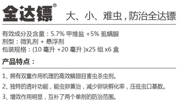 金达镖