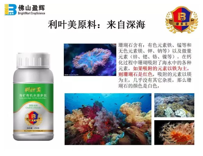 柑橘膨果着色期施肥管理