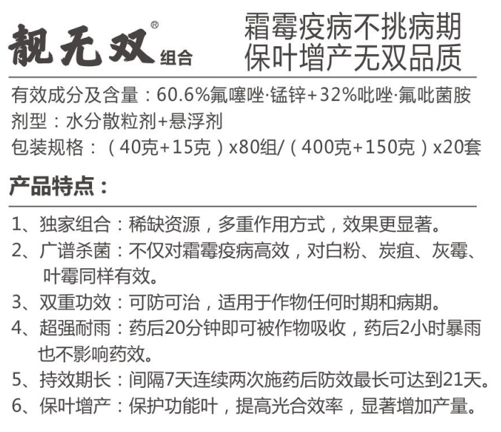 靓无双组合