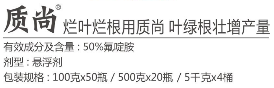 质尚