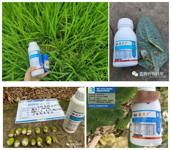 微信截图_20230321114910 微信截图_20230321114910