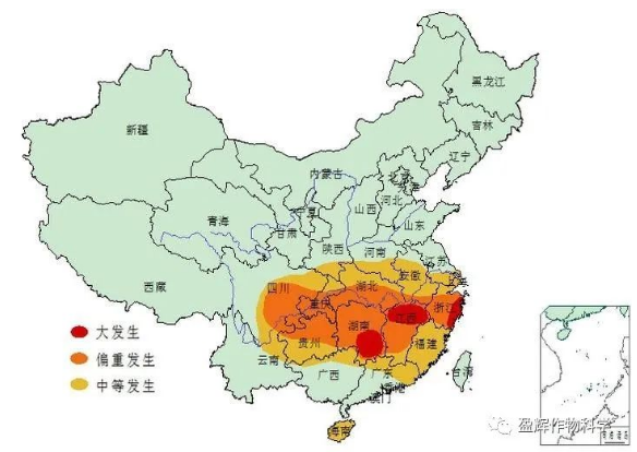 二化螟抗性四起？杀虫除卵才是主流