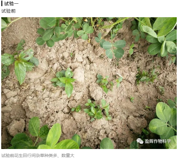 微信截图_20230703110812