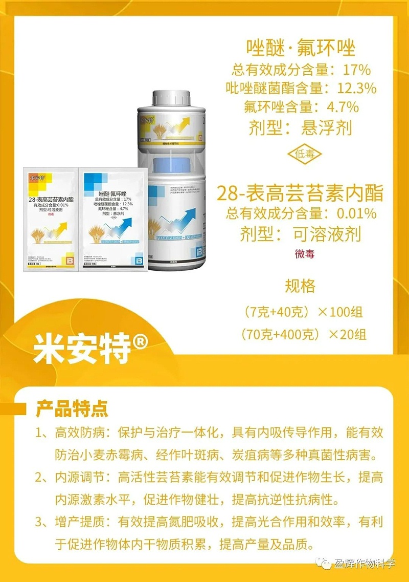 米安特
