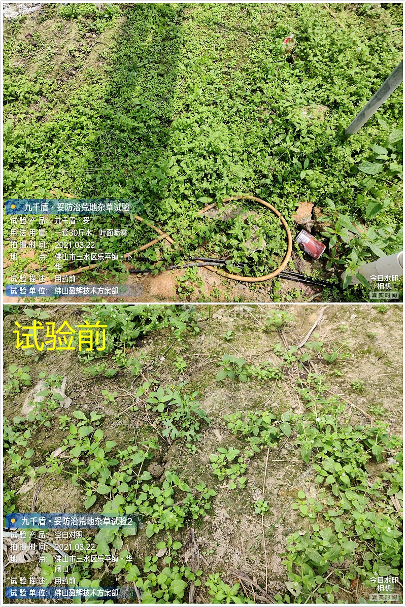 试验前-整合 试验前-整合
