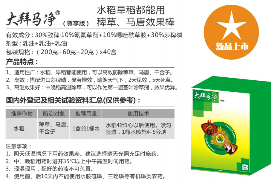 大拜马净